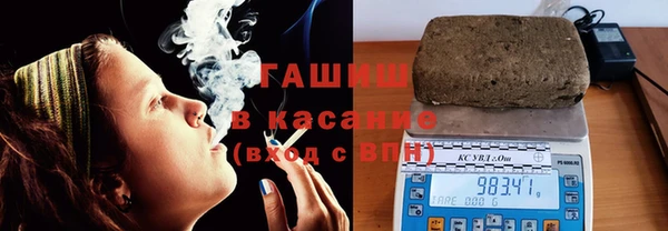 шишки Ельня