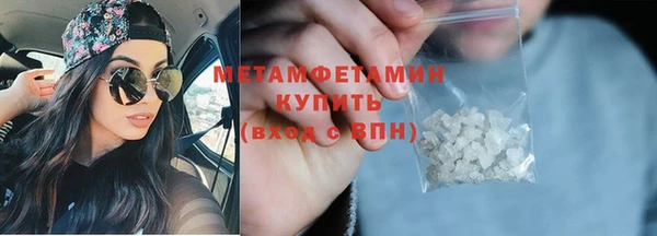 шишки Ельня