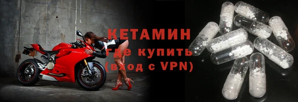 шишки Ельня
