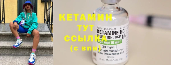 шишки Ельня