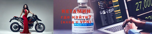 шишки Ельня