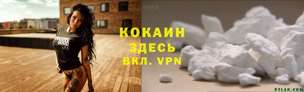 шишки Ельня