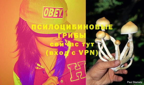 шишки Ельня