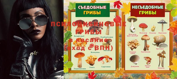 таблы Дмитриев