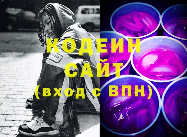 шишки Ельня