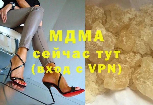 шишки Ельня