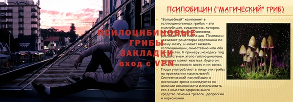 винт Елизово