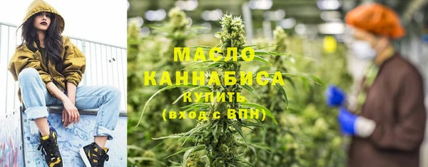 шишки Ельня