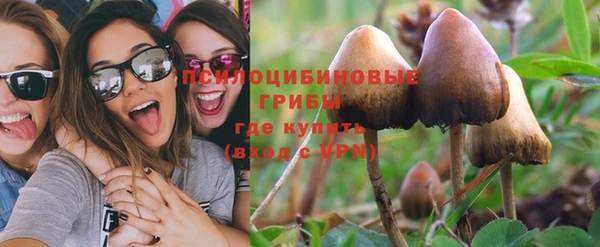 мяу мяу мука Дмитров