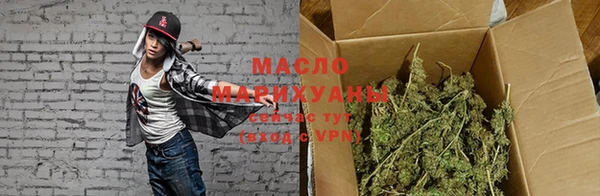 шишки Ельня